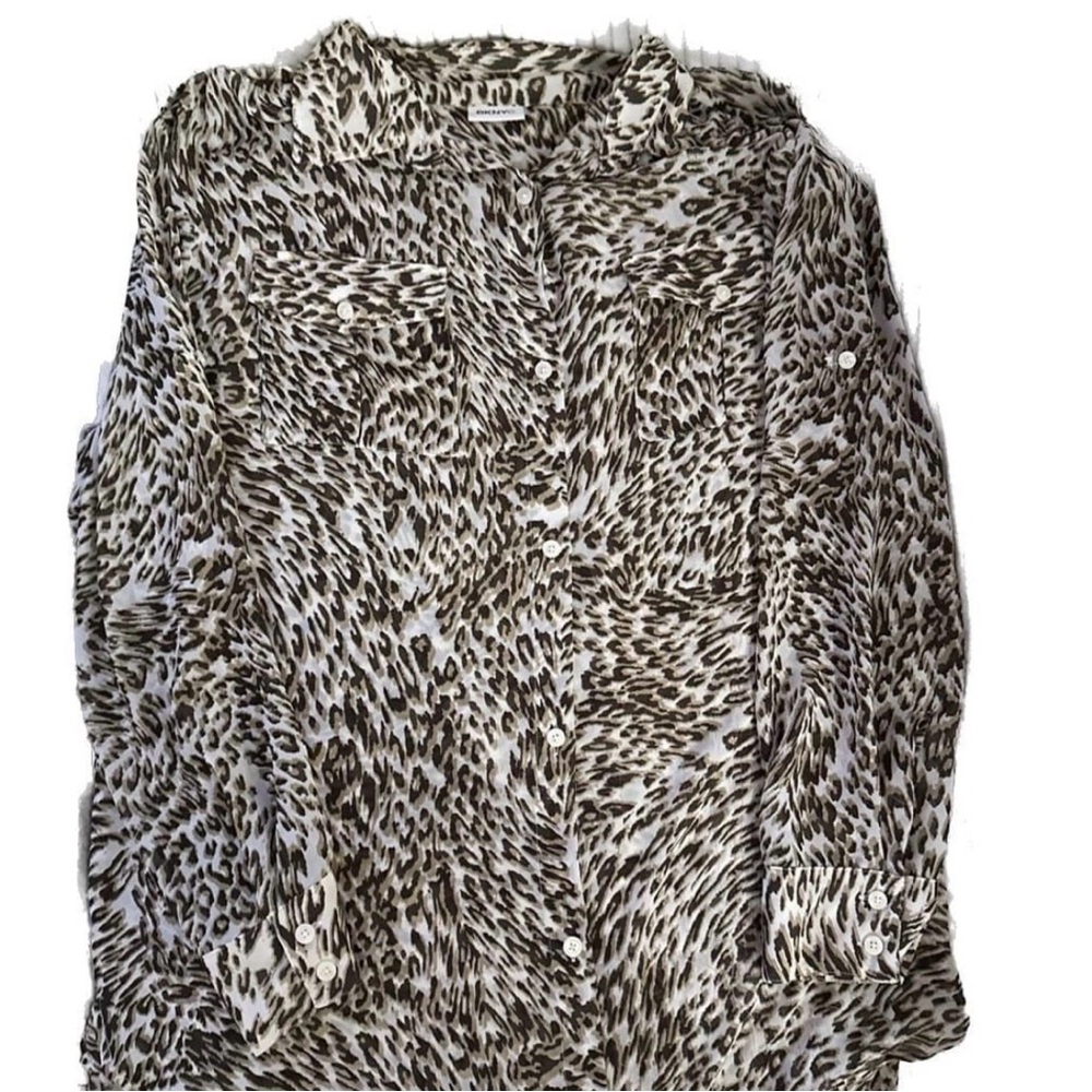 DKNYC Leopard Print Sheer Long Sleeve Blouse, 1X